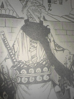 One Piece 第655話 パンクハザード島の謎に挑んでみる Mangaism