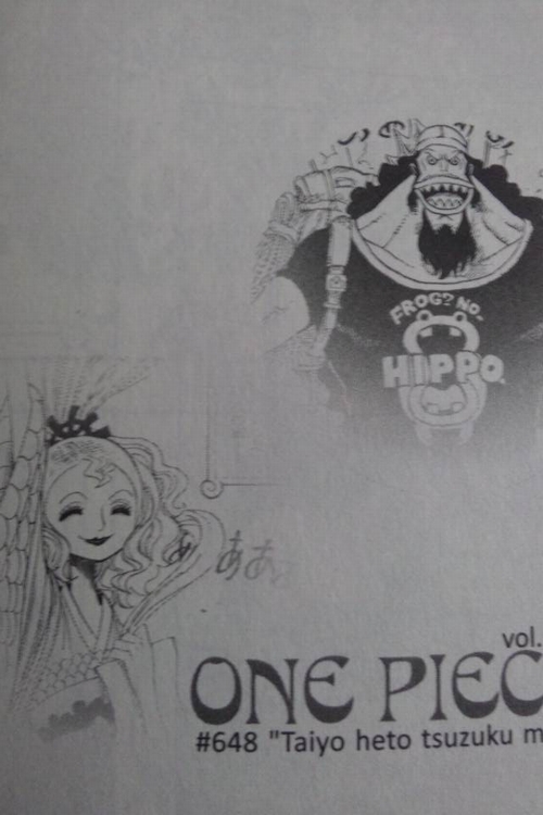 One Piece 66巻 魚人島編総括 魚人族の過去と現在と未来 Mangaism