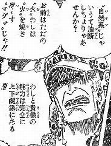 One Piece 考察 火 を焼き尽くす マグマ に対する解釈からサボに望む事 Mangaism