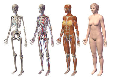 真面目な話、漫画家になりたかったら18禁えろ同人誌を出し続けるのが最適解だと信じてる