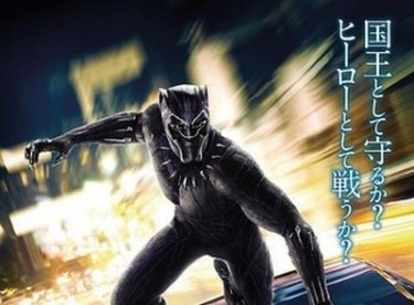 「ブラックパンサー」　ブラックパンサーのヒーロー性に着目した感想