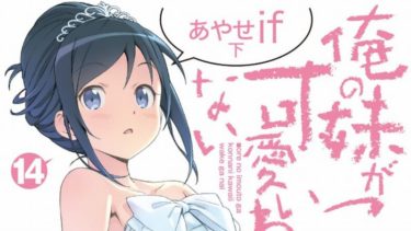 「俺の妹がこんなに可愛いわけがない」第14巻　あやせif（下）　感想